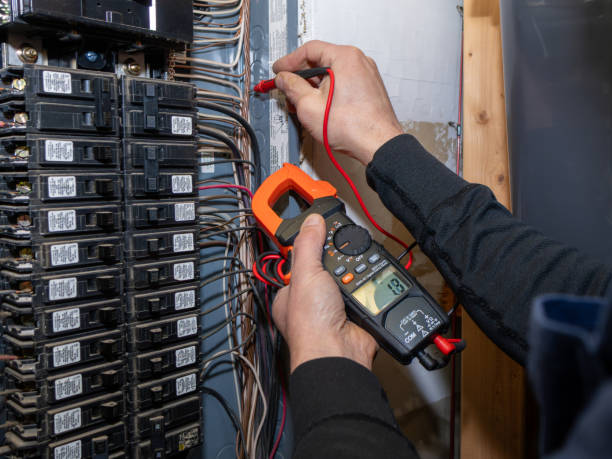 Best Ceiling Fan Installation Electrician  in Horicon, WI